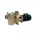 Cast centrifugal pool pump 2900 rpm Pahlen
