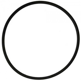 Flange oring pump America IML