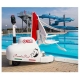 Portable pool lift PWD Panda Pool