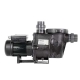 Pool pump recirculation Whisperflo Pentair