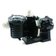 Pool pump recirculation 5P6R La Sta-Rite Pentair