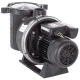 Pool pump recirculation Ultra Flow Pentair