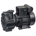 Pool pump recirculation 21-40 Badu Speck