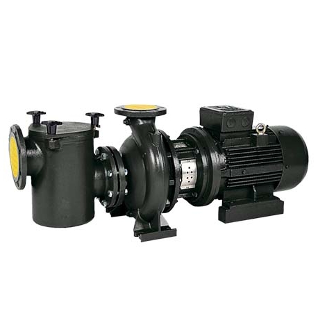 Cast centrifugal pool pump CIS 1450 rpm AS