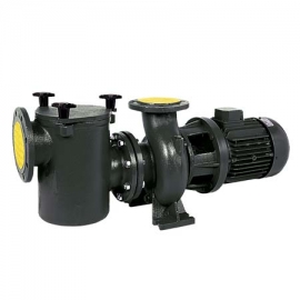 Cast centrifugal pool pump CI 2850 rpm AS