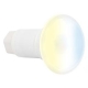 Λάμπα led 12V WHITE/WW/TW Lumiplus Flexi Mini Astral