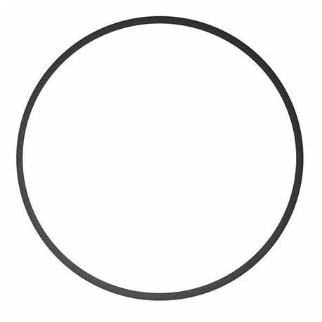 Filter lid oring Splash