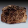 Loudspeakers rock shaped Asral