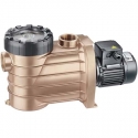 Pool pump recirculation Bronze Speck pumps