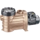 Pool pump recirculation Bronze Speck pumps