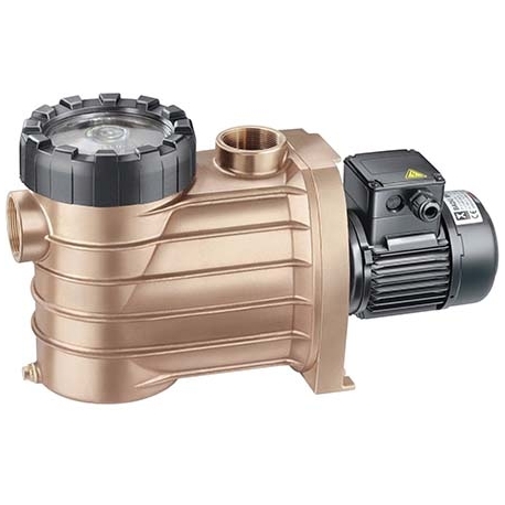 Pool pump recirculation Bronze Speck pumps