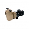 Cast centrifugal pool pump 2900 rpm P2000 Pahlen