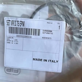 Oring repair set check valve Y type Fip