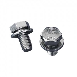 Ladder step screw with washer AS