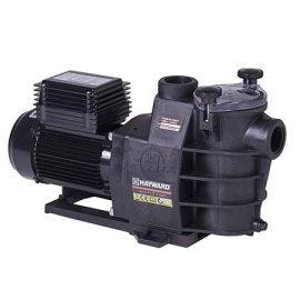 Pump with prefilter MaxFlo Hayward