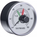 Hayward Pro-Grid DE pressure gauge back mount
