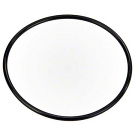 Pump lid oring Old Triton Pentair