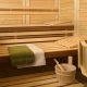 Traditional saunas Finesse Helo