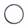 Chlorinator lid oring Astral